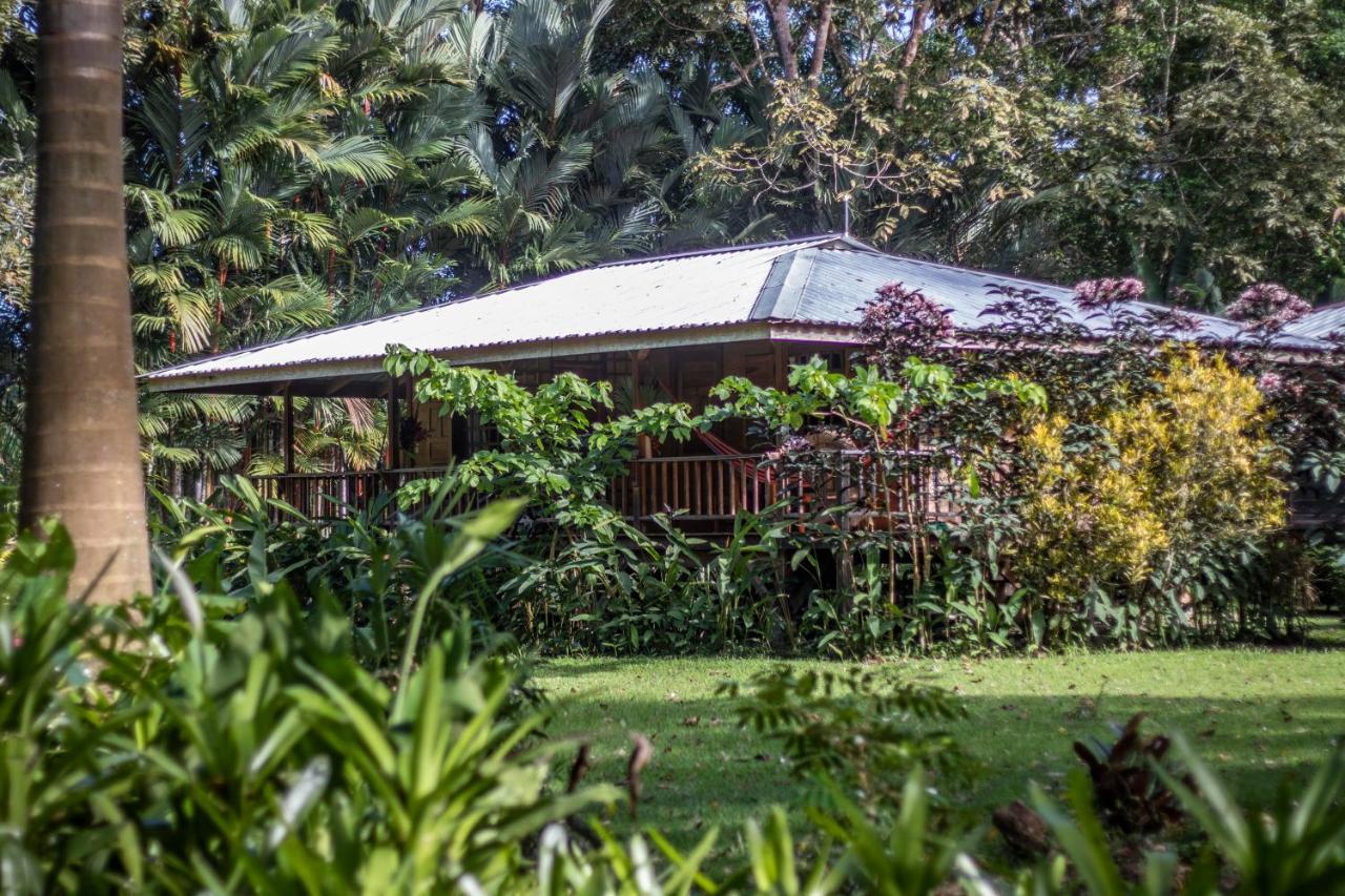 Casa Viva Lodge Puerto Viejo de Talamanca Exteriér fotografie